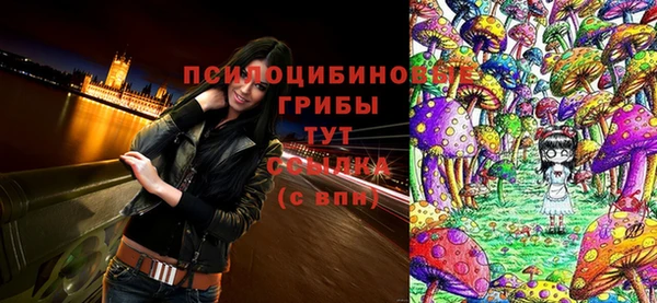 индика Аша