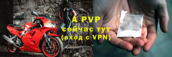 индика Аша