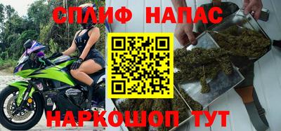 прущие грибы Апшеронск