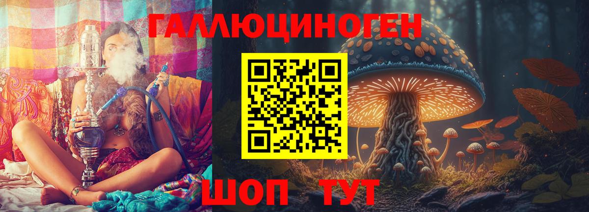 Псилоцибиновые грибы MAGIC MUSHROOMS  Вход с VPN  цена   Брянск 